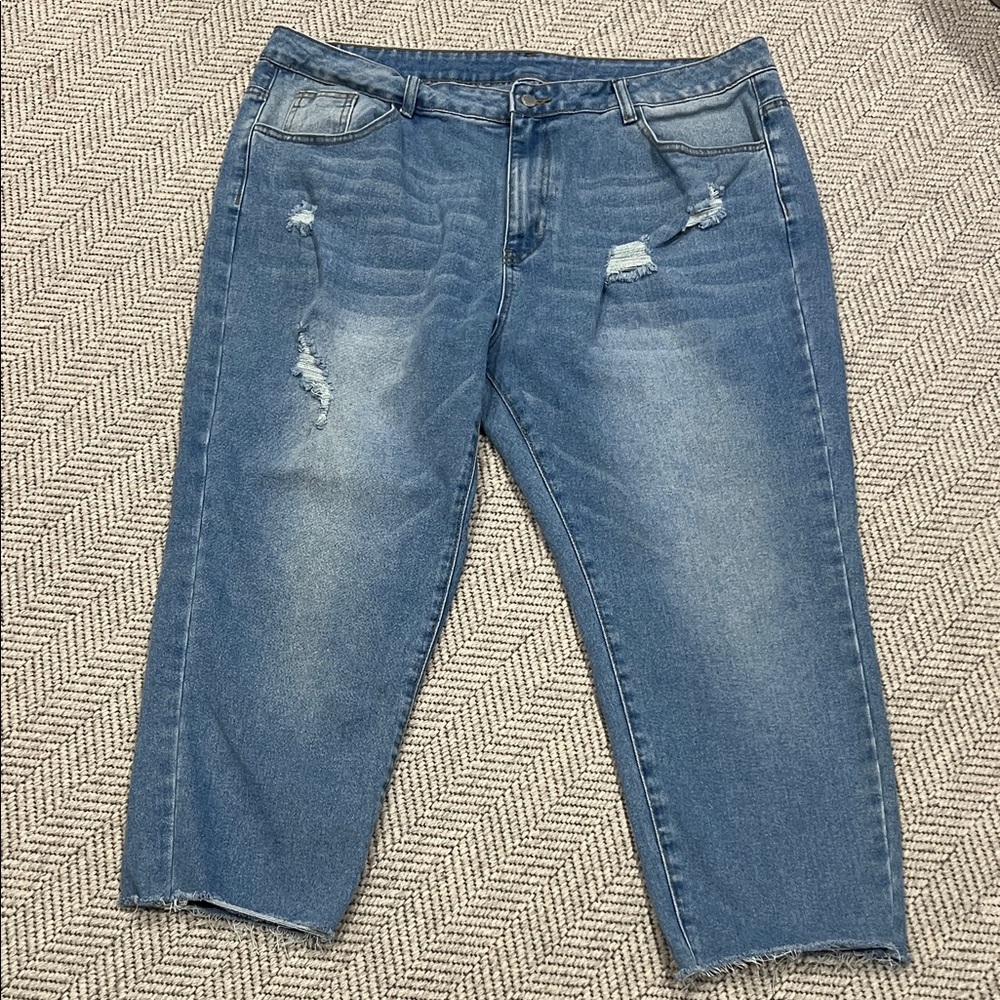 SHEIN Light Blue Denim Crop Jeans